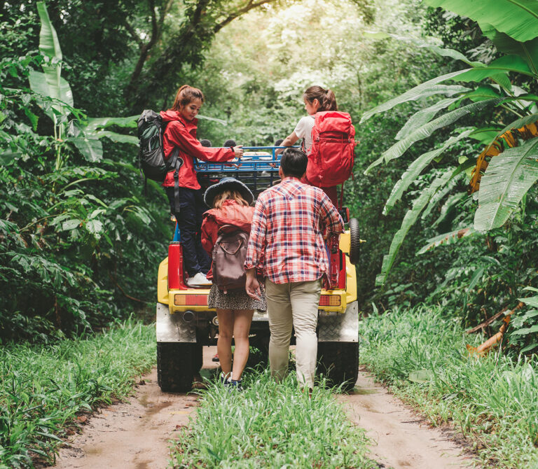 Wildlife Travel of the Year